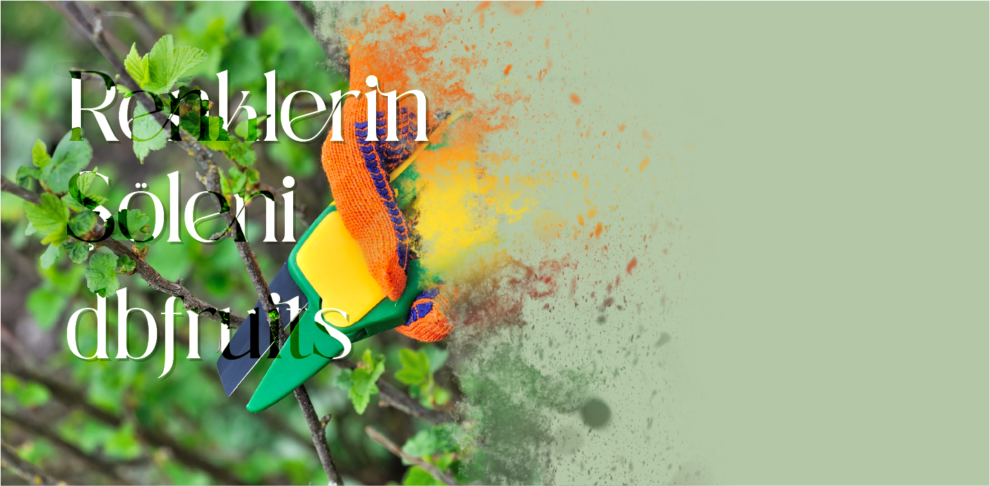 Renklerin Şöleni dbfruits