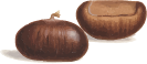Kestane